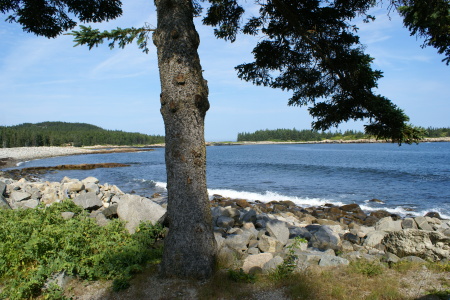 Schoodic Point Maine