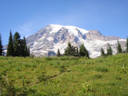 Mt Rainer