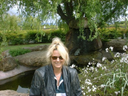 2006 in the wine country