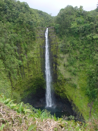 Akaka Falls - Hawaii