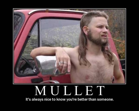 mullet