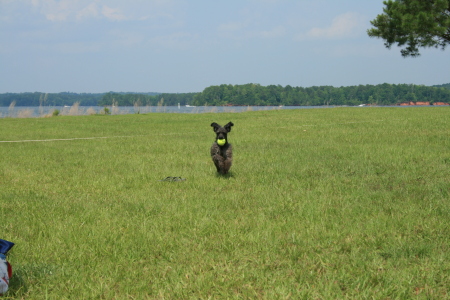 Duke has a ball