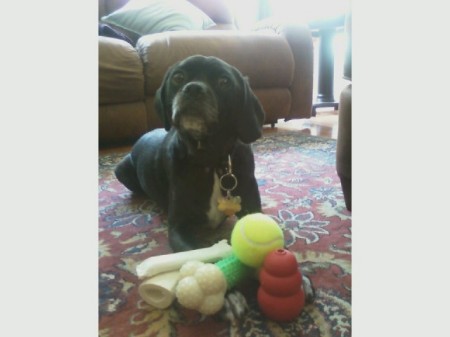Riggo and his toys