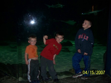 My boys in front of the Sting ray tank