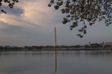 the Tidal Basin