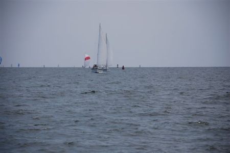 sail boat race 3