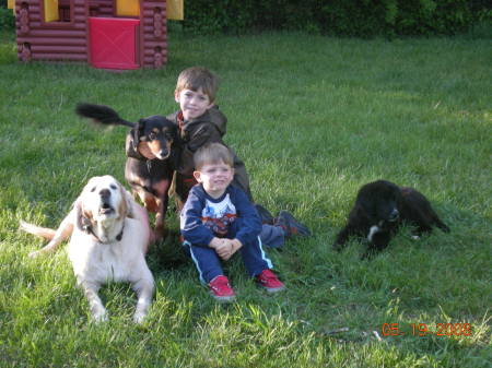 Jack and Bo with our dogs