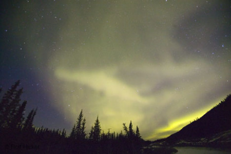 aurora-borealis_canada_t6176
