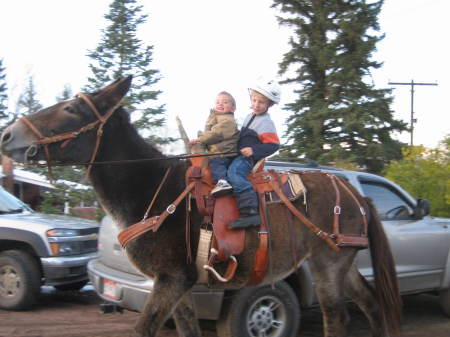 Joey rides a mule