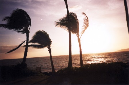 Sunset in Hawaii