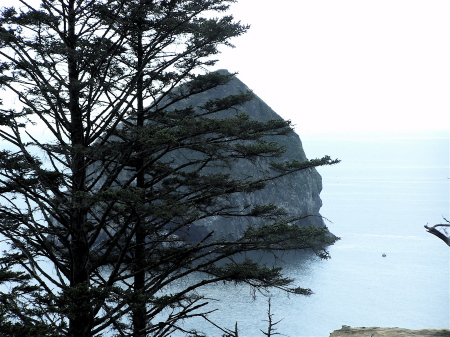 Oregon Coast