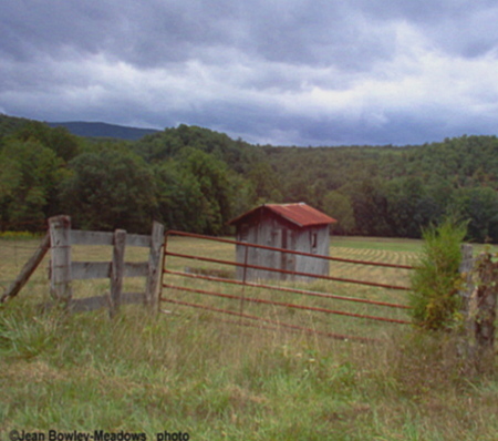 One of my photos go to our cabin-