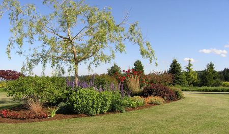 planting island