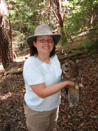 Spotted Owl Surveys