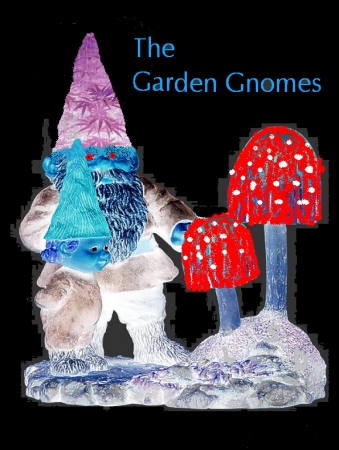 gnomes 001