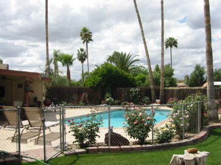 Hanging out in the backyard in Arizona...