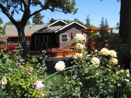 Back of house- new addition/landscape