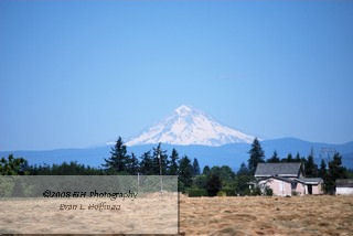 Mt. Hood