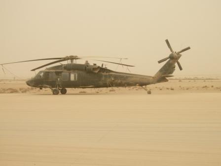 Surviving the dust storm