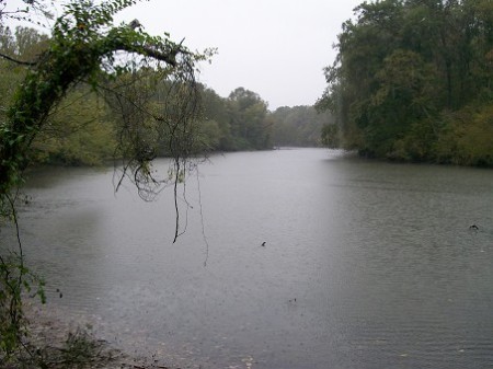 Fishing at my lake