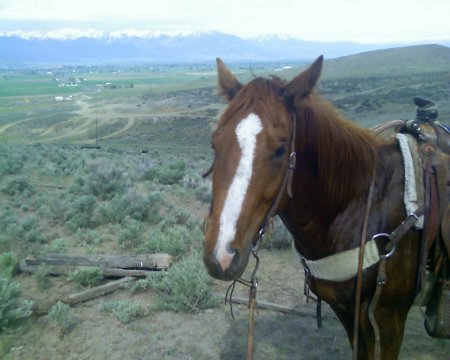 open country on Tuck