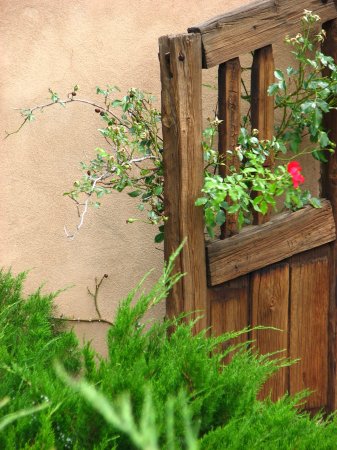 Old Santuario door