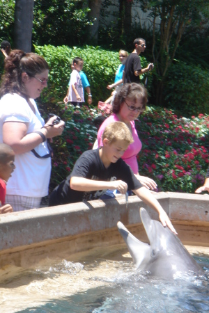 my son Brandon feeding and touching a dolphin