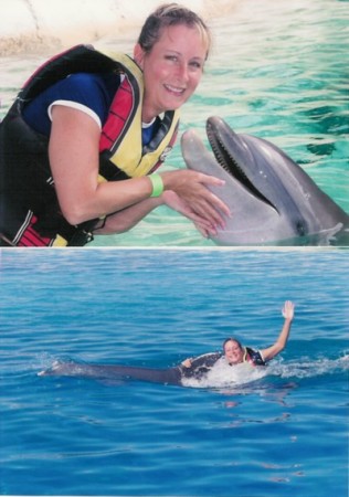 swimming with hawaii dolphins
