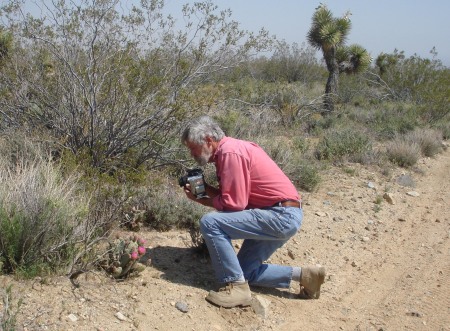 Spring Time in the Desert