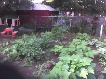 My first vegetable garden 2007