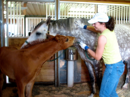 That's a very determined colt.