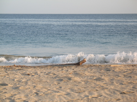 Point Mugu Beach, Near Point Mugu NAS