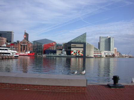 Visiting Baltimore