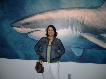Vistiting the Monterey Bay Aquarium