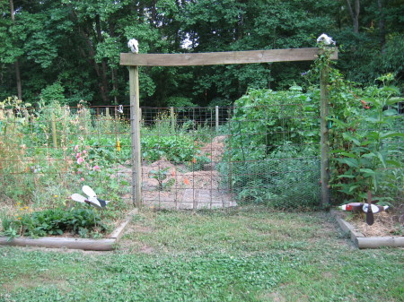 The garden.