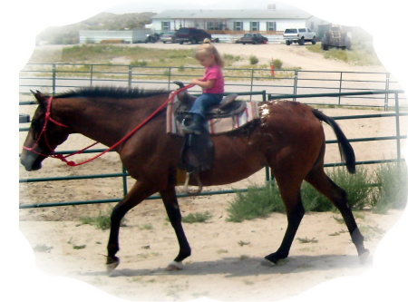 Wow, my Grand-Daughter is going to be a Rodeo