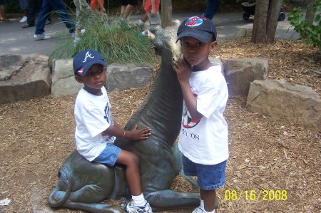 Zoo Pic