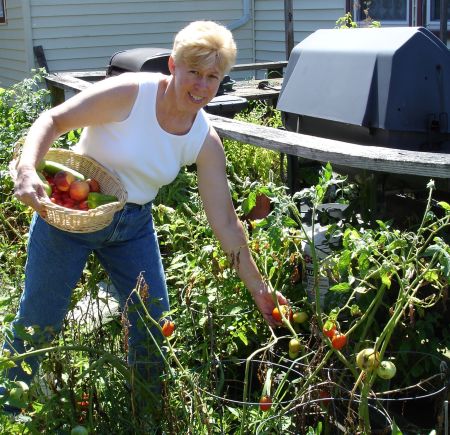 2006 veggie garden