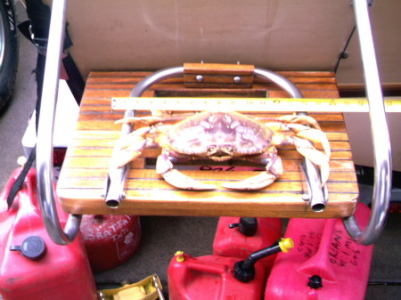 Our biggest crab caught to date!