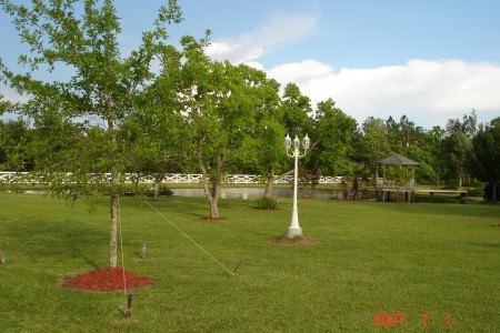 Front Yard Looking South