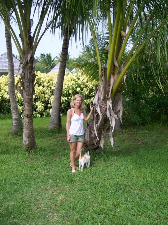 Palm Trees and Island Plantations