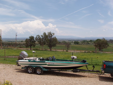 21' bass cat with 225 merc.