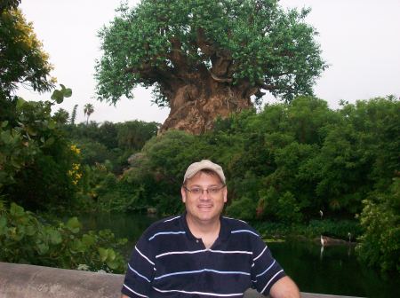 Me at Animal Kingdom