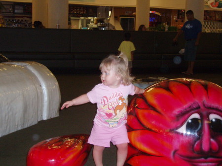 Savanna at the mall play area