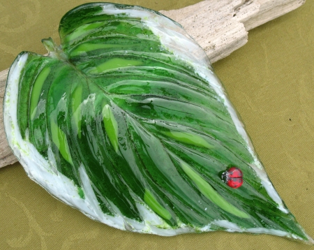 Hosta leaf w/ladybug