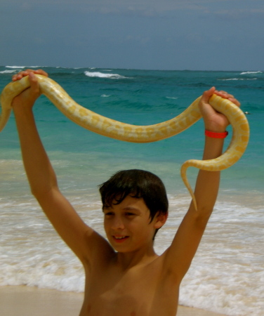 Our middle son bravely holding up Snake