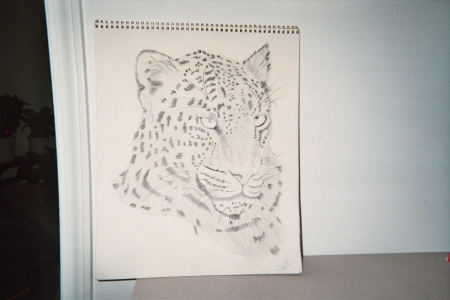 Leopard---Some of my Drawings