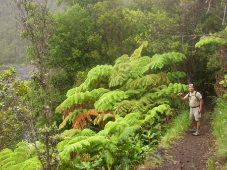 Kiluea Iki Trail Walk 2008