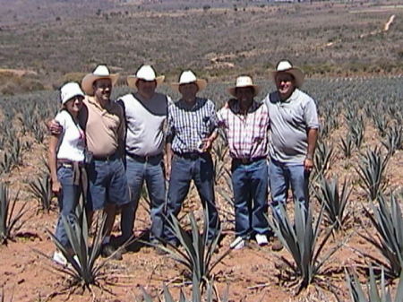 Beginning of our Tequila plantation. Apr 2004