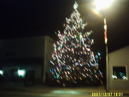 yule tree downtown...